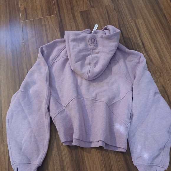 Scuba Lululemon Pink  Hoodie and Joggers Set - Picture 6 of 15